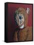 Red Monkey with Scars, 2006,-Peter Jones-Framed Stretched Canvas