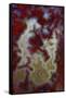 Red Moss Agate Slab-Darrell Gulin-Framed Stretched Canvas