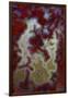 Red Moss Agate Slab-Darrell Gulin-Framed Photographic Print