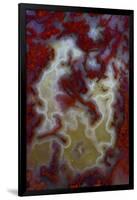 Red Moss Agate Slab-Darrell Gulin-Framed Photographic Print