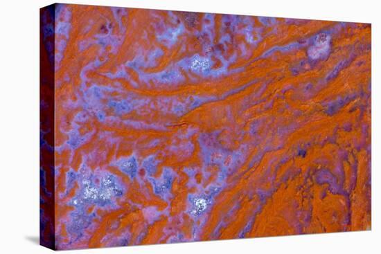 Red Moss Agate-Darrell Gulin-Stretched Canvas