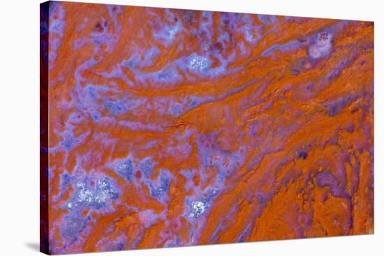 Red Moss Agate-Darrell Gulin-Stretched Canvas