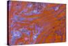 Red Moss Agate-Darrell Gulin-Stretched Canvas