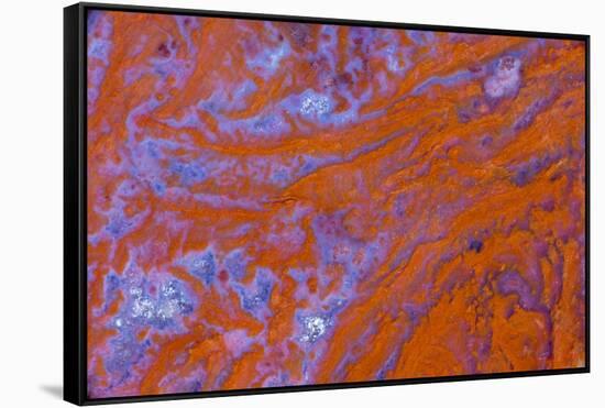 Red Moss Agate-Darrell Gulin-Framed Stretched Canvas