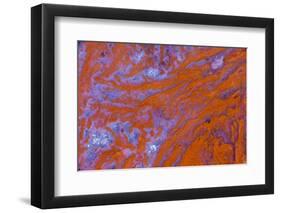 Red Moss Agate-Darrell Gulin-Framed Photographic Print