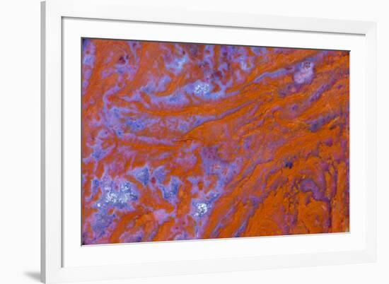 Red Moss Agate-Darrell Gulin-Framed Photographic Print