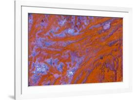 Red Moss Agate-Darrell Gulin-Framed Photographic Print