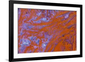 Red Moss Agate-Darrell Gulin-Framed Photographic Print