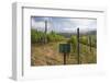 Red Mountain Estate Winery, Nyaungshwe, Inle Lake, Shan State, Myanmar (Burma), Asia-Stuart Black-Framed Photographic Print