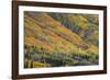 Red Mountain Pass-Michael Greene-Framed Giclee Print