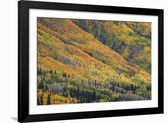 Red Mountain Pass-Michael Greene-Framed Giclee Print