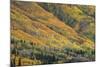 Red Mountain Pass-Michael Greene-Mounted Giclee Print