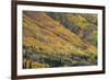 Red Mountain Pass-Michael Greene-Framed Giclee Print