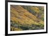 Red Mountain Pass-Michael Greene-Framed Giclee Print