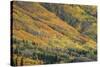 Red Mountain Pass-Michael Greene-Stretched Canvas