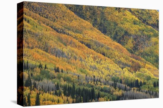 Red Mountain Pass-Michael Greene-Stretched Canvas