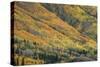 Red Mountain Pass-Michael Greene-Stretched Canvas