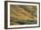 Red Mountain Pass-Michael Greene-Framed Giclee Print