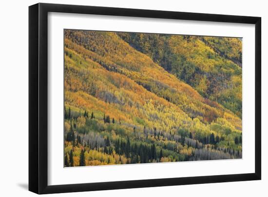 Red Mountain Pass-Michael Greene-Framed Giclee Print