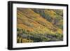 Red Mountain Pass-Michael Greene-Framed Giclee Print