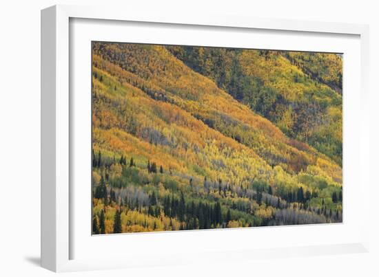 Red Mountain Pass-Michael Greene-Framed Giclee Print