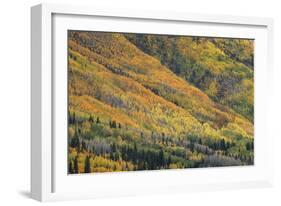Red Mountain Pass-Michael Greene-Framed Giclee Print