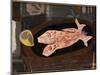 Red Mullet, 1936 (Oil on Canvas)-Paul Cezanne-Mounted Giclee Print