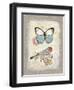 Red Natural Life, Butterfly and Little Bird-Chad Barrett-Framed Art Print