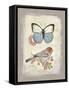 Red Natural Life, Butterfly and Little Bird-Chad Barrett-Framed Stretched Canvas