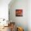 Red Nature Morte-Oxana Zaika-Giclee Print displayed on a wall