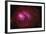 Red Nebula-Stocktrek-Framed Photographic Print