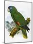 Red-Necked Amazon Parrot-William T. Cooper-Mounted Giclee Print