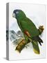 Red-Necked Amazon Parrot-William T. Cooper-Stretched Canvas