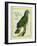 Red-Necked Amazon-Georges-Louis Buffon-Framed Giclee Print