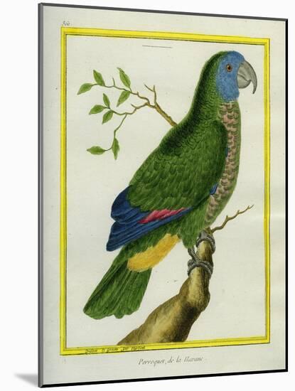 Red-Necked Amazon-Georges-Louis Buffon-Mounted Giclee Print