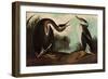 Red-Necked Grebe-John James Audubon-Framed Giclee Print