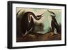 Red-Necked Grebe-John James Audubon-Framed Giclee Print