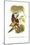 Red Necked or Double Collared Aracari-John Gould-Mounted Art Print