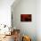 Red Night-Sebastien Lory-Photographic Print displayed on a wall