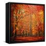 Red November-Philippe Sainte-Laudy-Framed Stretched Canvas