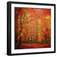 Red November-Philippe Sainte-Laudy-Framed Premium Photographic Print