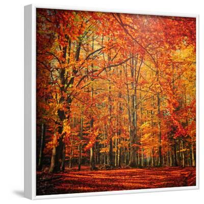 'Red November' Photographic Print - Philippe Sainte-Laudy | AllPosters.com