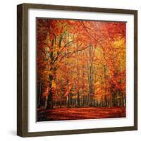 Red November-Philippe Sainte-Laudy-Framed Photographic Print