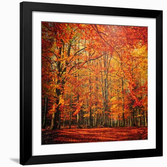 Red November-Philippe Sainte-Laudy-Framed Photographic Print