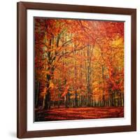 Red November-Philippe Sainte-Laudy-Framed Photographic Print