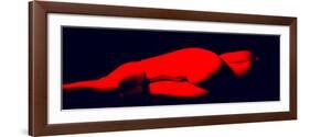 Red Nude Rear View-Ade Groom-Framed Photographic Print