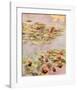 Red Nympheas-Claude Monet-Framed Art Print