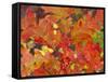 Red Oak Leaves, Colorado, USA-Julie Eggers-Framed Stretched Canvas