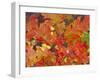 Red Oak Leaves, Colorado, USA-Julie Eggers-Framed Premium Photographic Print