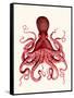 Red Octopus 3-Fab Funky-Framed Stretched Canvas